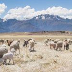 2023年亚博娱乐娱乐热门游戏推荐与玩法解析 1b5z2j