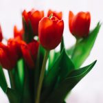 188金宝博香港:探索亚洲最受欢迎的在线博彩平台 43p6i08iwq