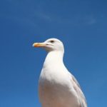 2023年最新网赌平台大全,安全可靠的选择推荐 aa3ax4gvms