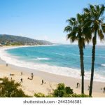 365足球:全球足球赛事直播平台的全面解析 m7zdjfgy