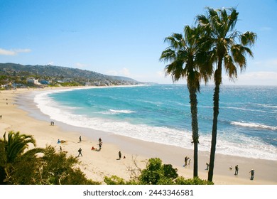 365足球:全球足球赛事直播平台的全面解析