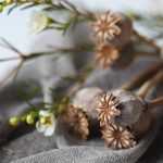 58娱乐:探索新兴娱乐行业的无限可能性与发展趋势 myrsl7qz