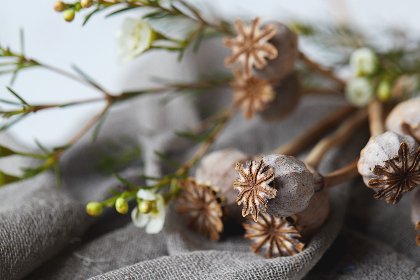 58娱乐:探索新兴娱乐行业的无限可能性与发展趋势