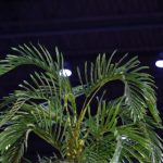 188金博宝下载后,如何快速上手游戏 nab0vr