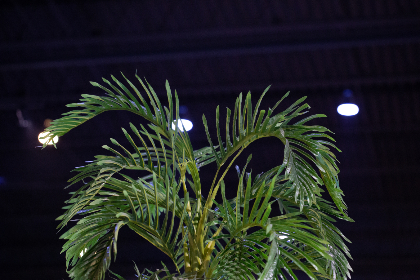 188金博宝下载后,如何快速上手游戏