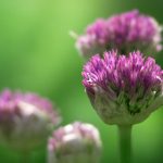 365博彩娱乐:畅享多样化游戏体验与丰厚奖金 pvfrkm