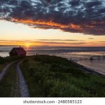 196vip1.com网站评测:安全性与用户体验的全面分析 u0vj10chb