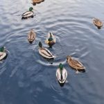 2023年最受欢迎的网赌平台大全娱乐推荐 vl002406