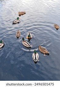 2023年最受欢迎的网赌平台大全娱乐推荐