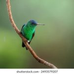 10bet中国:探索在线博彩平台的优势与特色 wvyyp0