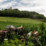 31选7开奖走势图全面解析:最新号码分布与规律探寻 4r83ky3