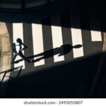 31选7开奖结果走势图最新数据分析与历史规律解读 hxn87obc