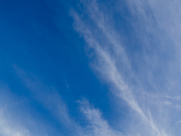 31选1开奖结果揭晓,幸运号码花落谁家? 31选1开奖结果揭晓,幸运号码花落谁家?